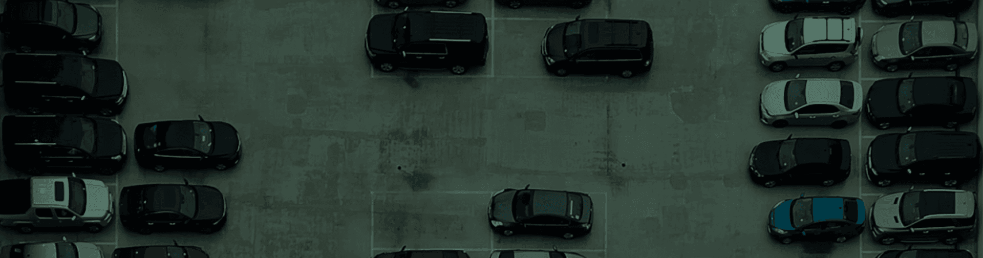 Red de recambio recuperado para profesionales del automóvil