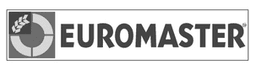 Logo Euromaster